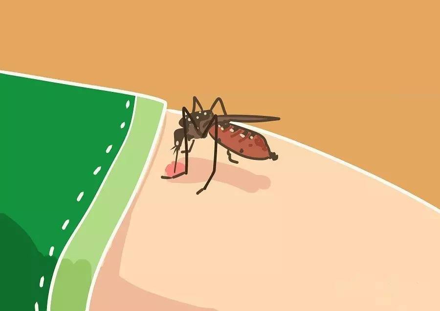 Prévention des moustiques (2)