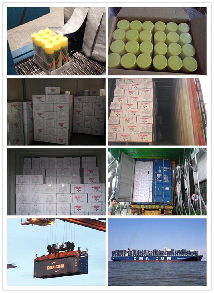 Topone 300ml insecticida spray shipping.jpg